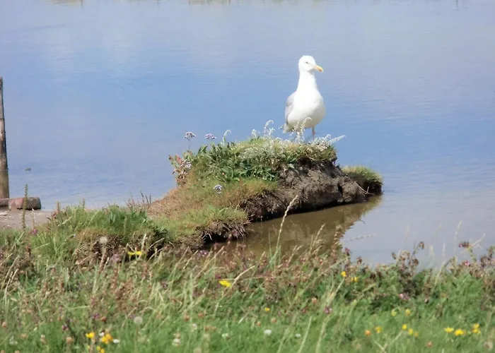 Apartamento Haus Halligblick, Whg Pellworm